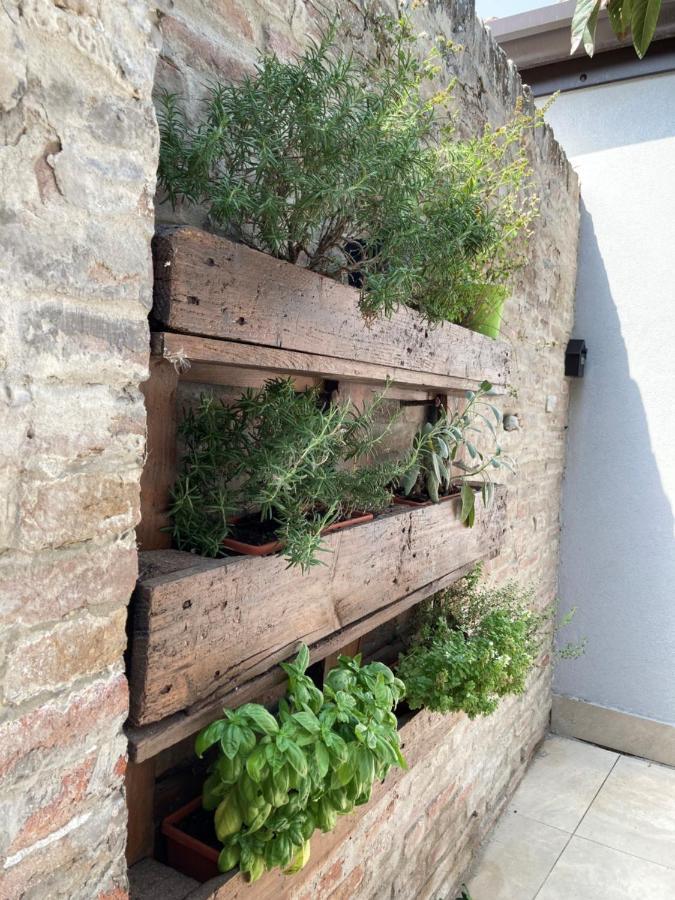 Al Ruderino Hotel Comacchio Bagian luar foto